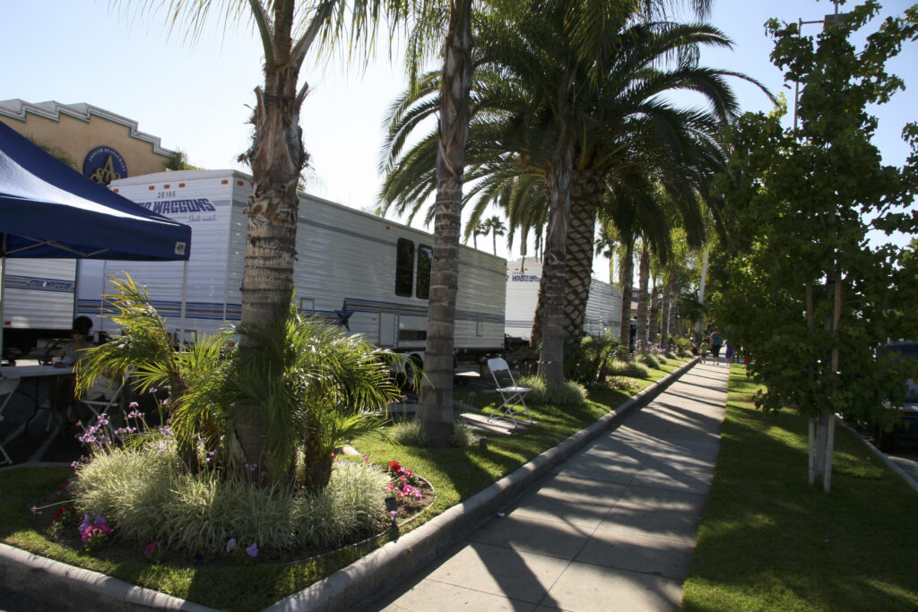 a path with trees and buildings on the side