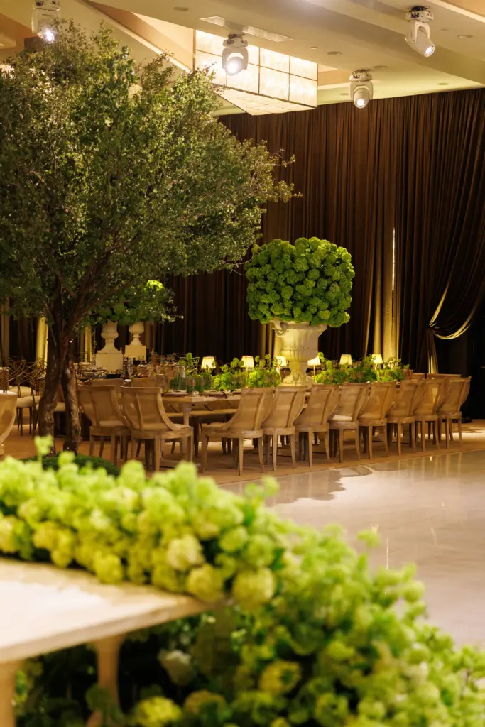 Reception hall with an indoor olive tree, wooden chairs and lush green floral garlands