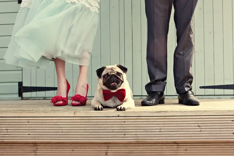 Why Personal Beats Perfection on your Wedding Day