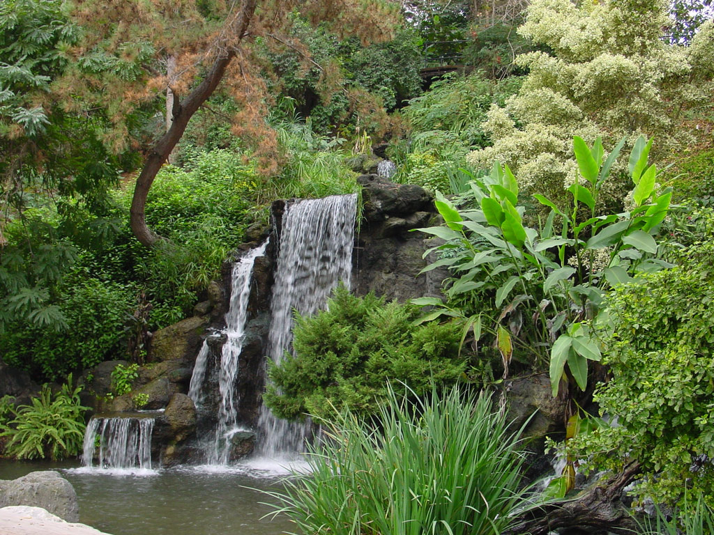 The Los Angeles Arboretum