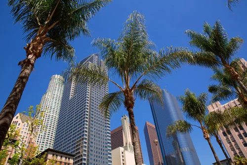 Show Your Out-of-Town Guests the Best of L.A. — Even If You Can’t Go Along