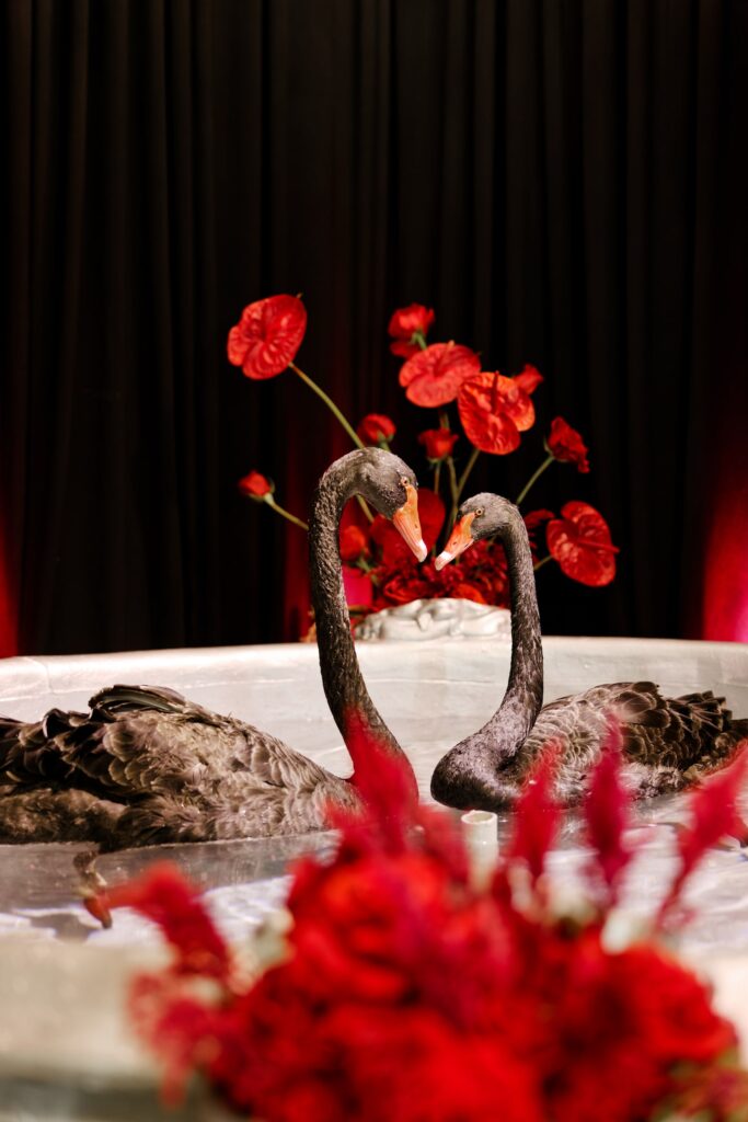 Roses & Romance: Wedding of Laura & Ghukas