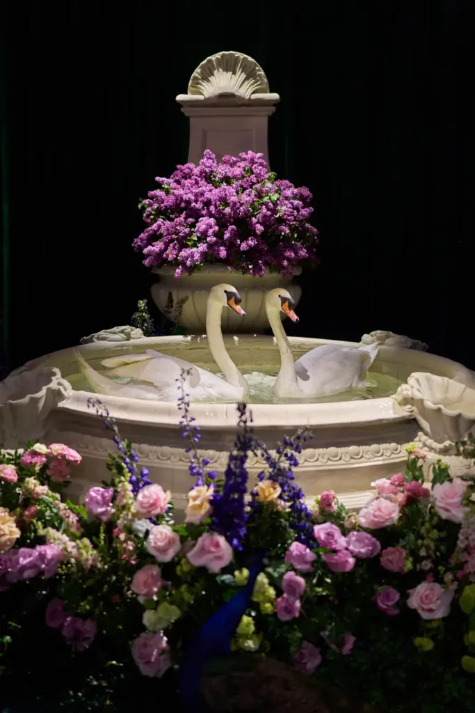 Ornamental fountain with swan sculptures surrounded by pink and purple floral arrangements