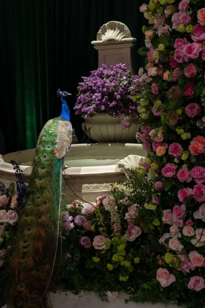 Peacock perched among pink rose arrangements near an ornamental fountain
